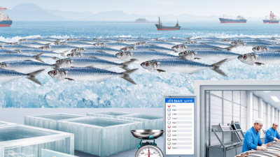 What Are China Top Season Sardines Suppliers?