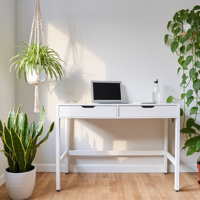 2026 Best Indoor Plants for Better Air Quality?