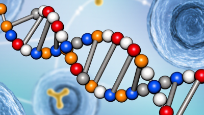 What Is Nicotinamide Adenine Dinucleotide NAD?