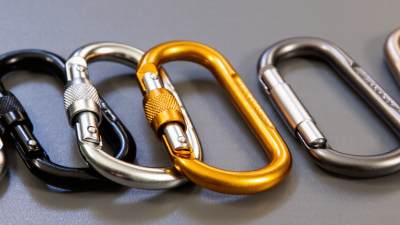 7 Best Triangle Carabiners for Global Buyers?