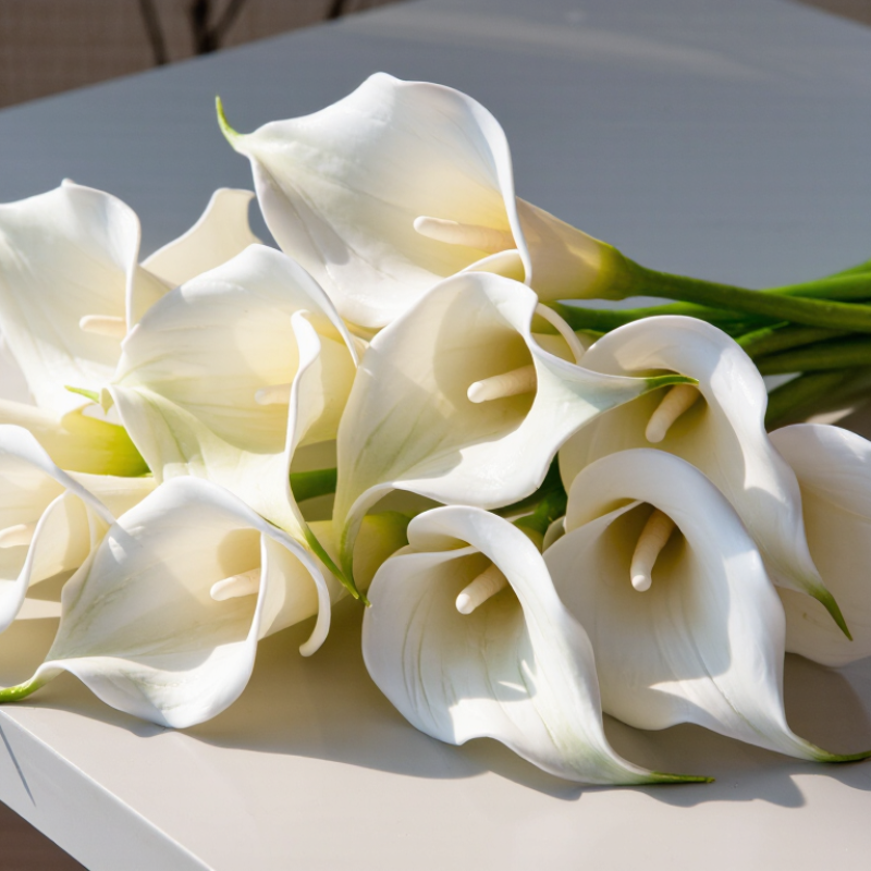 How to Choose Real Touch Calla Lilies for Wholesale?