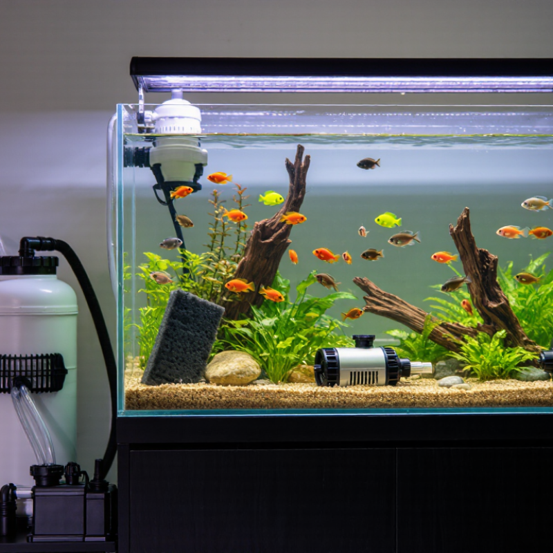 2026 Best Aquarium Filter Pump Types for Global Buyers?