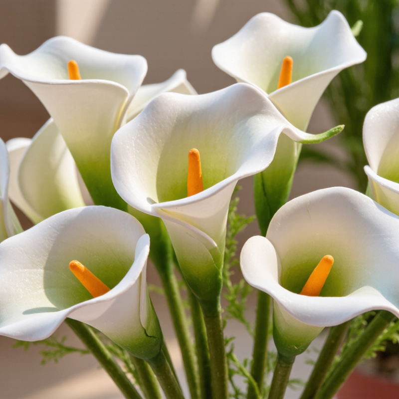2026 Best Real Touch Calla Lilies Buying Guide