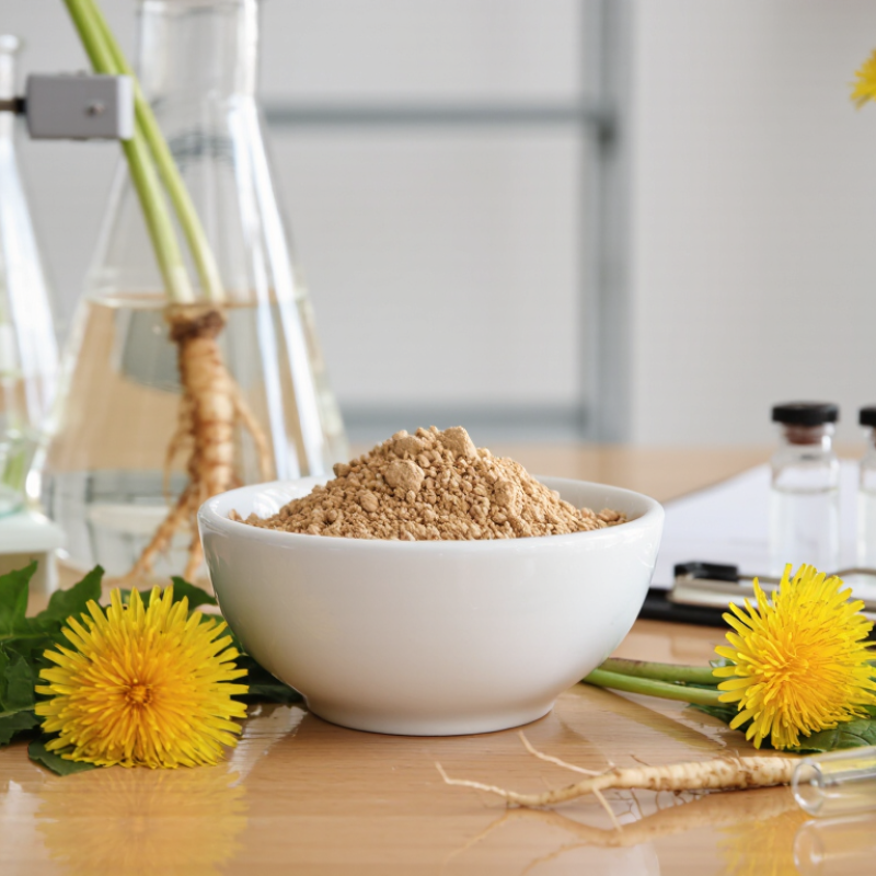China Best Organic Dandelion Extract Supplier