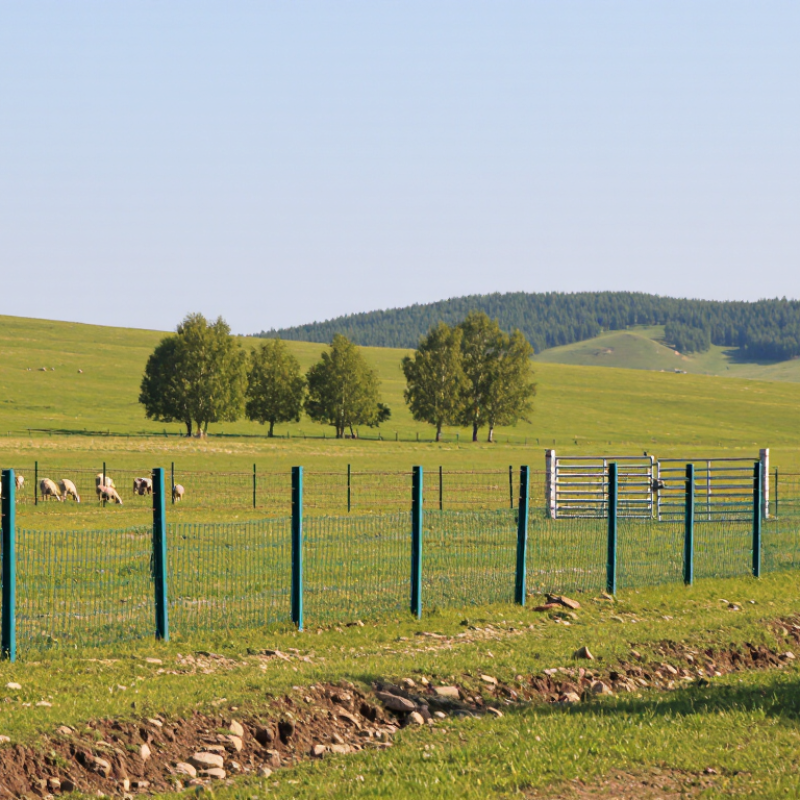 How to Choose the Best Field Fence for Your Farm?