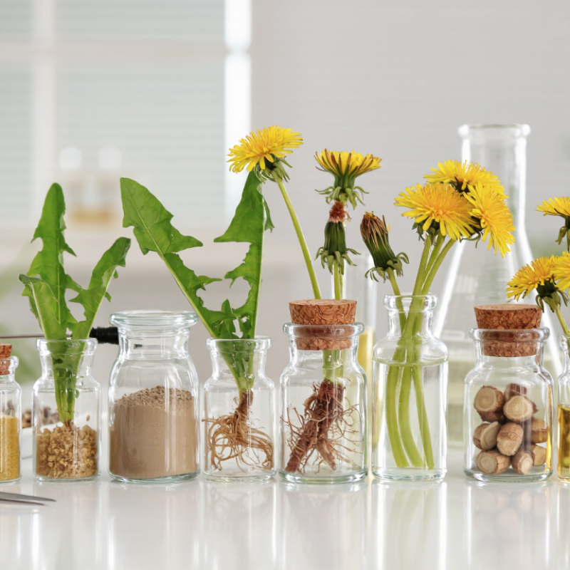 China Top 10 Organic Dandelion Extract Suppliers?