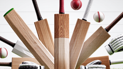 Top English Willow Cricket Bats for Global Buyers