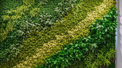 What Is an Artificial Plant Wall and How Does It Work?