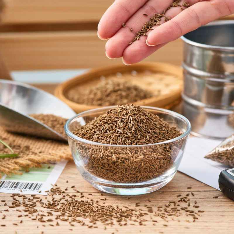 How to Source Whole Cumin Seeds in 2026?