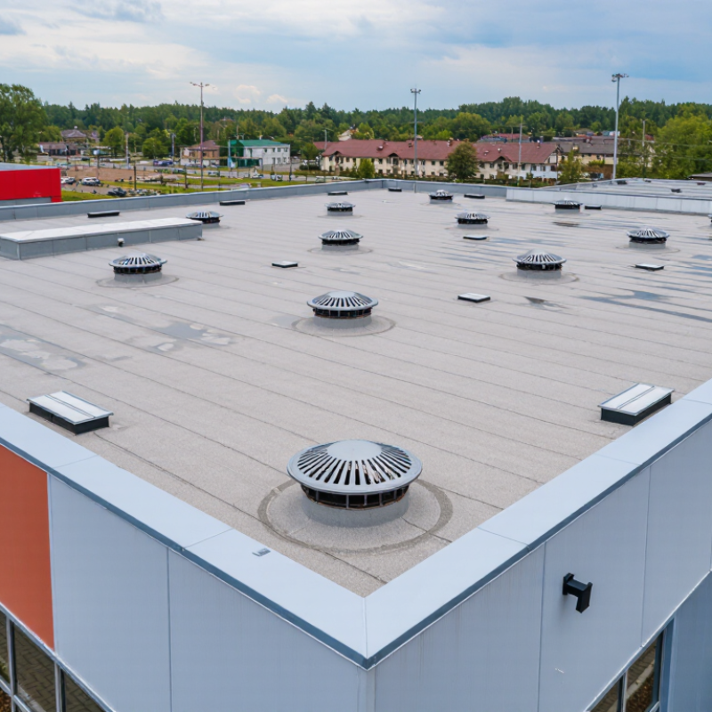 How to Choose the Best Roof Drains for Your Project?