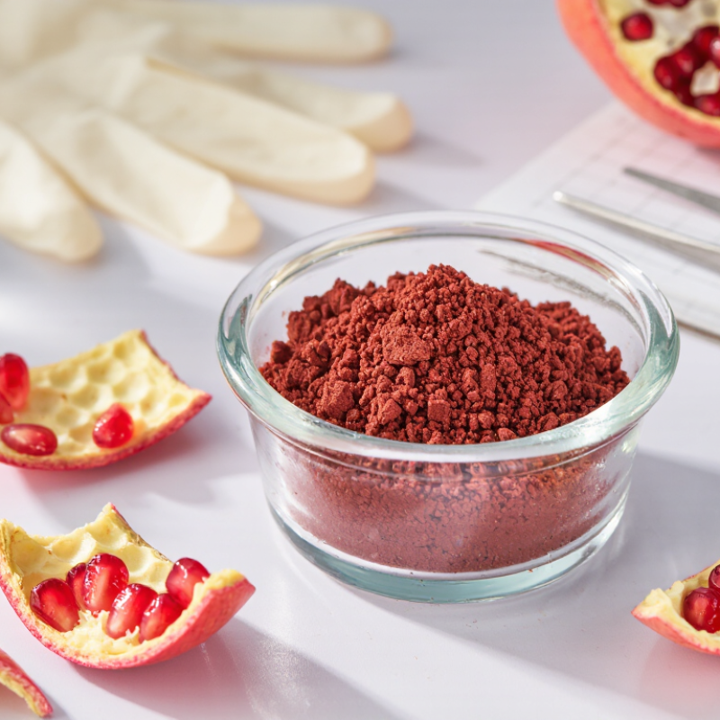 Top 10 Pomegranate Skin Powder Suppliers Worldwide