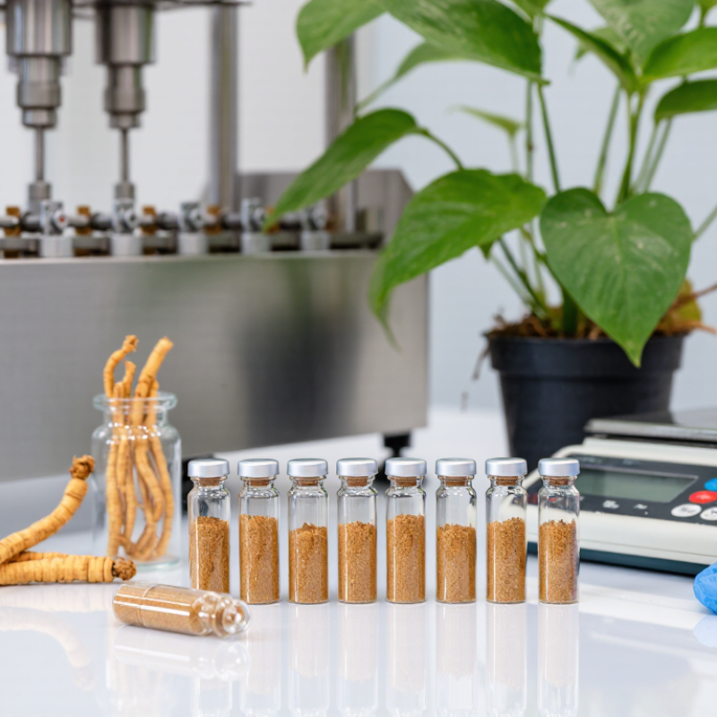 China Top Ginseng Capsules Manufacturers How to Choose?