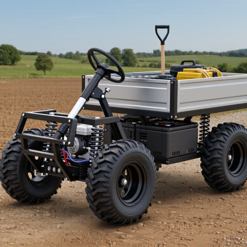 China Best Terrain Cart for Sale What Should Buyers Know?
