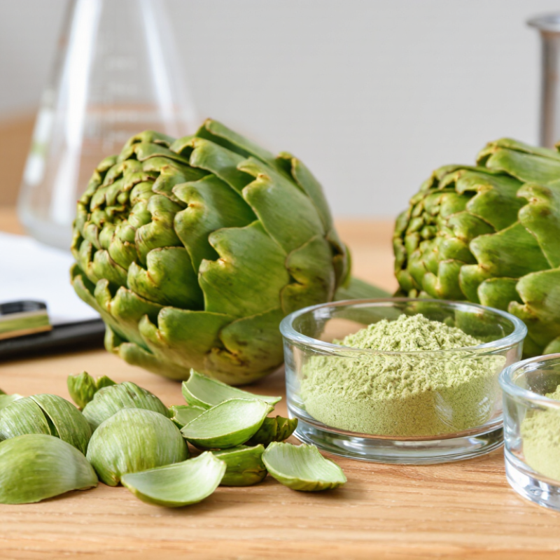 Why Choose Pure Artichoke Extract for Global Sourcing?