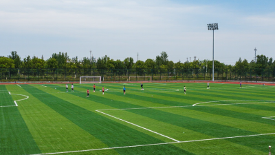 Why Choose Sports Artificial Turf for Your Facility?