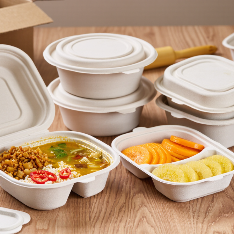 Top 10 Sugarcane Bagasse Packaging Manufacturers for Global Buyers