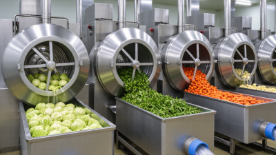 China Top 10 Vegetable Dryer Spinner Manufacturers