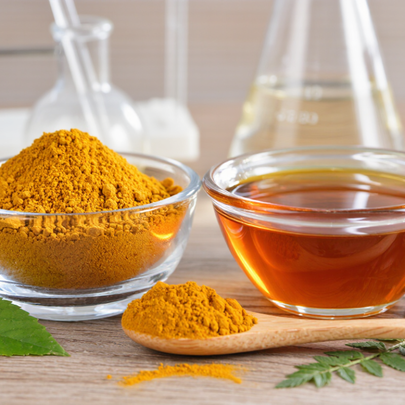 2026 Top Plant Extract vs Powder What Is the Difference?
