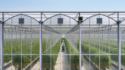 10 Tips for Choosing the Best Multi Span Greenhouse