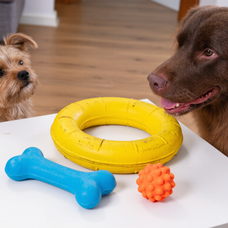 How to Customize Dog Toys for Your Brand?