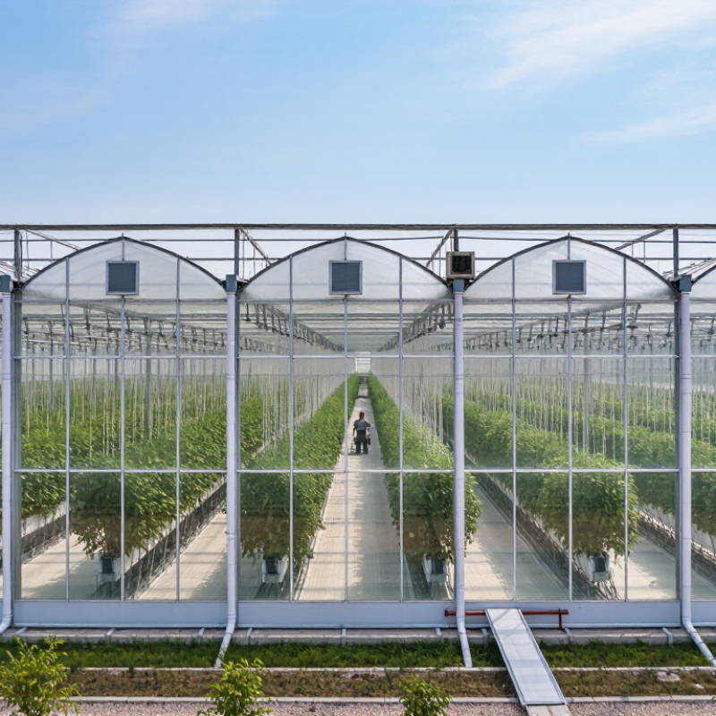 10 Tips for Choosing the Best Multi Span Greenhouse