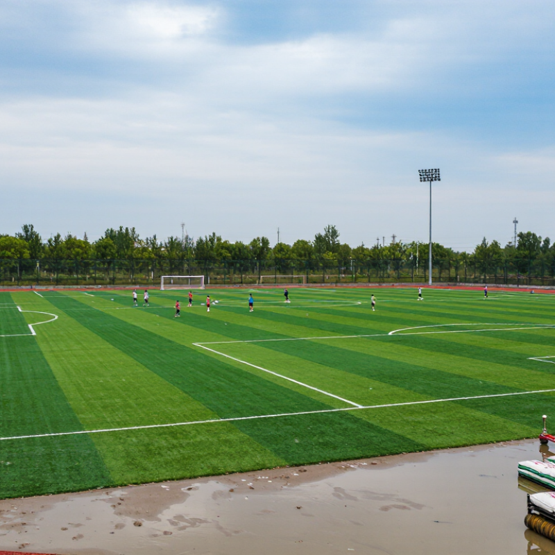 Why Choose Sports Artificial Turf for Your Facility?