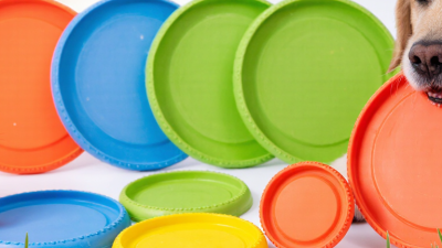 China Best Rubber Dog Fetch Discs Wholesale