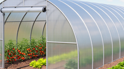 What Is a High Tunnel Greenhouse and How Does It Work?