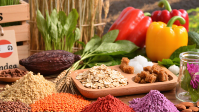 2026 Top Types of Organic Food Ingredients for Global Buyers