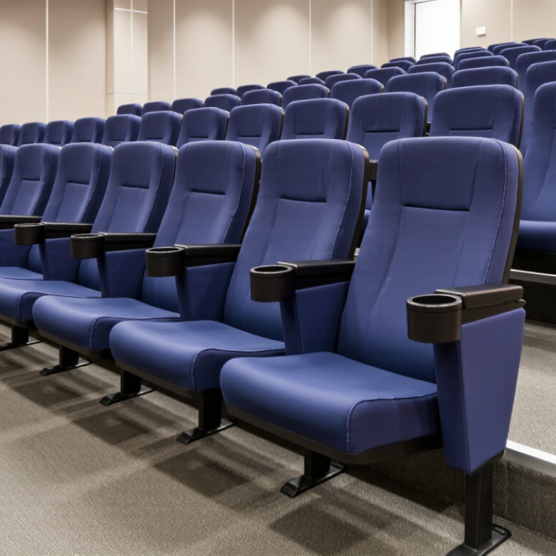 China Top Auditorium Chairs for Sale Wholesale?