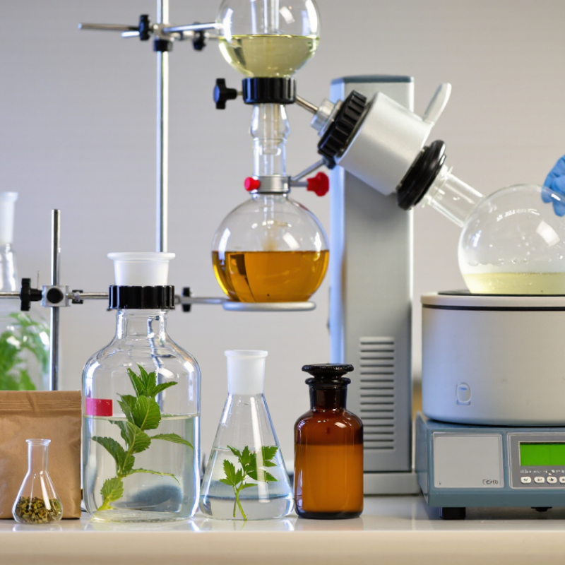 Why Are Active Compounds Preserved During Extraction?