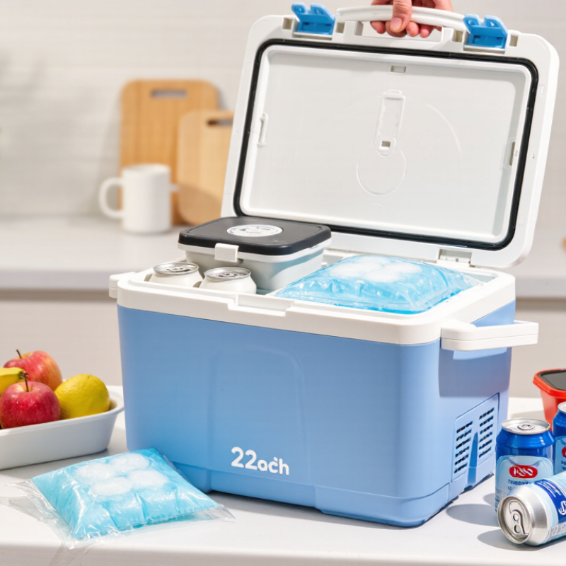 How to Choose the Best Cooler Box 2L for Global Buyers?