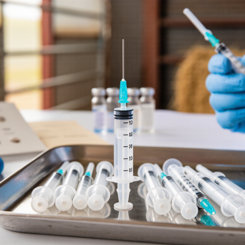 How to Choose the Best Livestock Medical Syringe?
