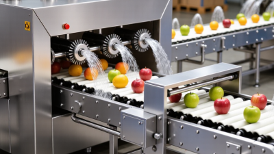 Why Choose a Fruit Washing Machine for Global Buyers?