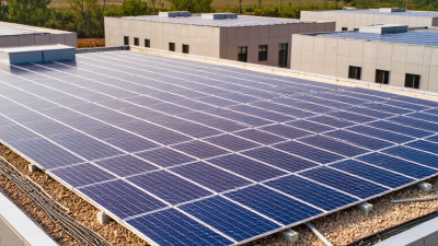 What Are the Best Solar Panels from China?