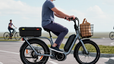 How to Choose the Best Electric Trike for Adults?