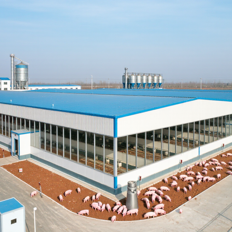China Top 10 Piglets Nursery House Suppliers?