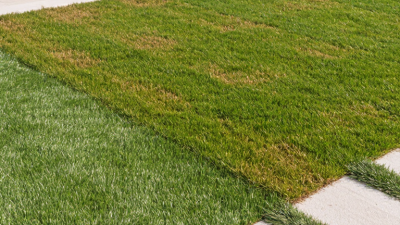 2026 Top Residential Artificial Grass Types for Global Buyers