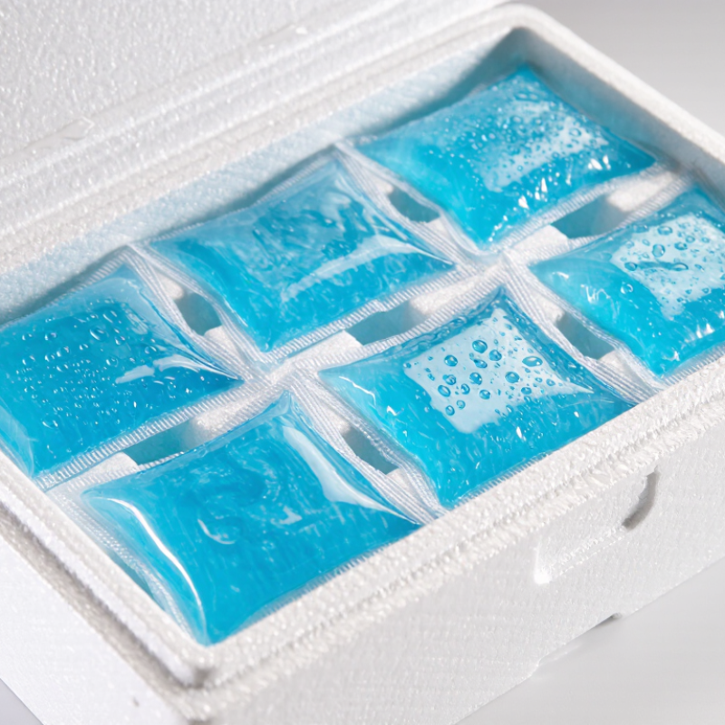 China Best Ice Packs Supplier for Global Buyers?