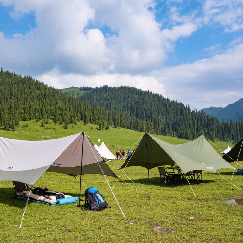 How to Choose the Best Camping Tarpaulin for Any Weather?