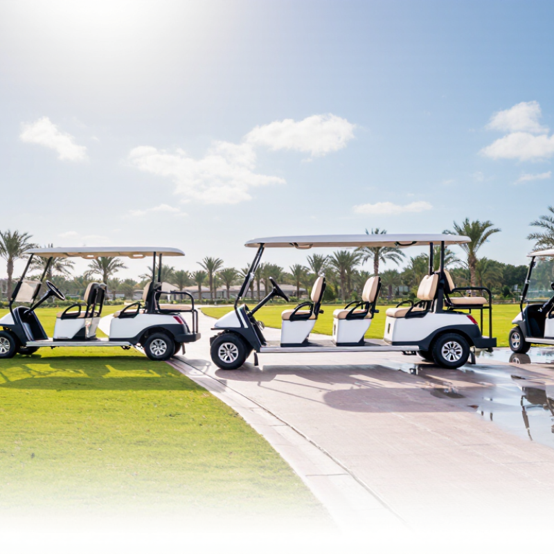 2026 Top Golf Electric Vehicle Types for Global Buyers?