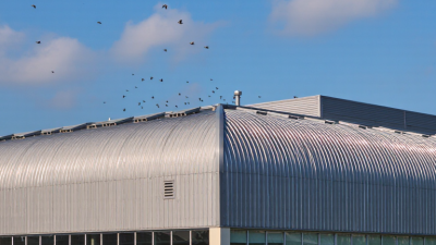 Why Choose Metal Roofing for Your Building?