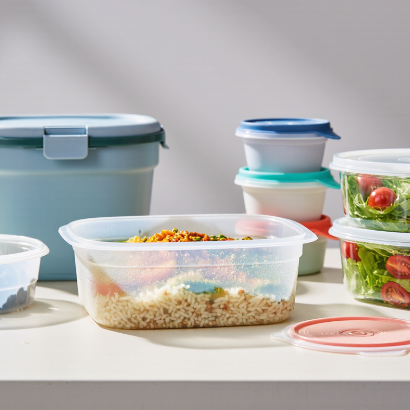 2026 Best Plastic Food Container Types for Global Buyers