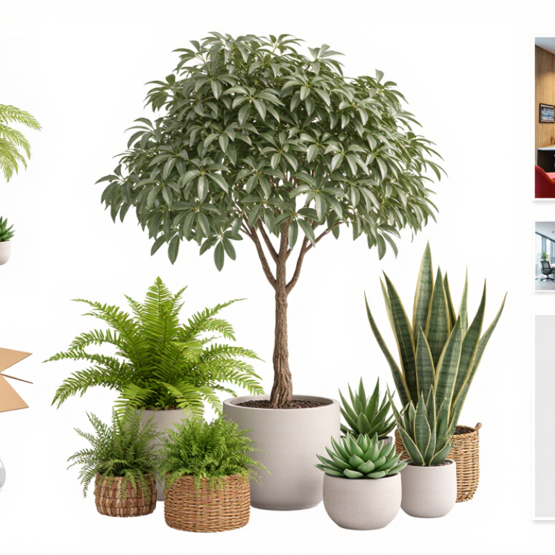 China Top Realistic Fake Plants Suppliers for Global Buyers?