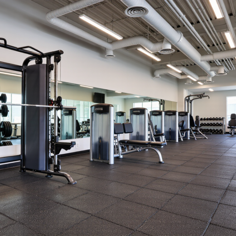 What Is the Best Strength Equipment for Global Gyms in 2026?