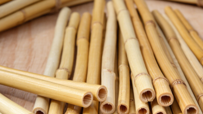 How to Choose the Best Rattan Sticks for Global Sourcing