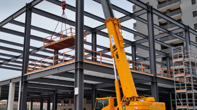 What Are the Best China Scaffold Hoists for Sale?