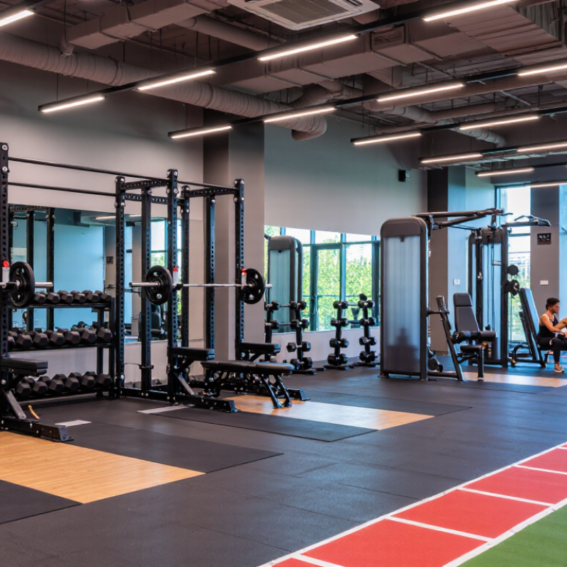 2026 Best Strength Equipment for Commercial Gyms?