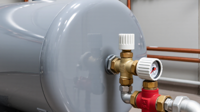 Why Do You Need a Temperature and Pressure Relief Valve?