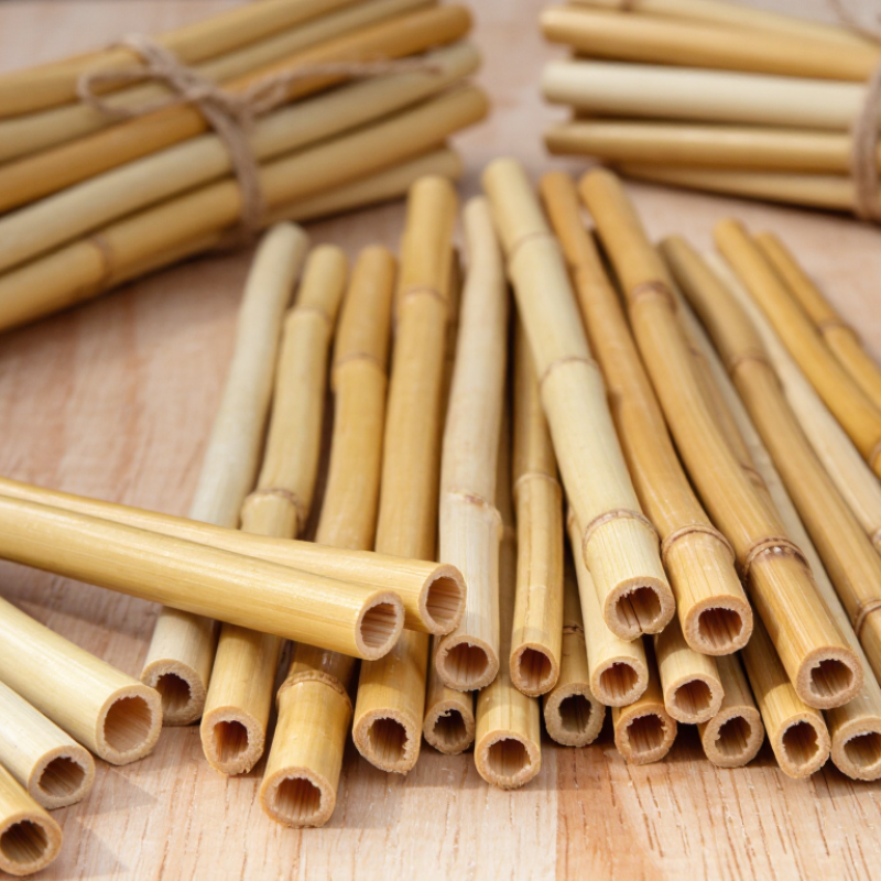 How to Choose the Best Rattan Sticks for Global Sourcing